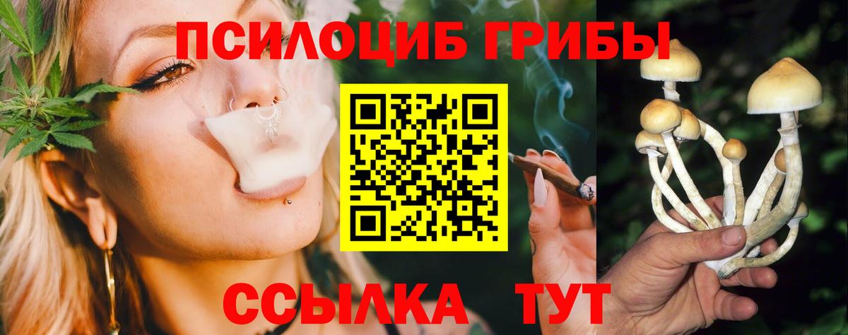 Воткинск  Галлюциногенные грибы Psilocybine cubensis  Вход с VPN 